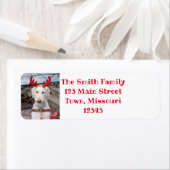 Étiquette Noël Ollie (En situation)