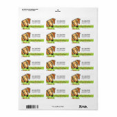 Étiquette Noël Smooth Red Dachshund (Feuille entière)