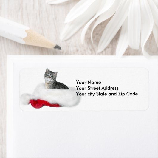 Étiquette Noël Tabby kitten (En situation)