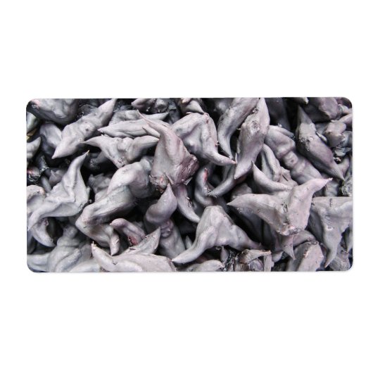 Étiquette Noix de buffle - Water Caltrop (Devant)
