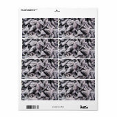 Étiquette Noix de buffle - Water Caltrop (Feuille entière)