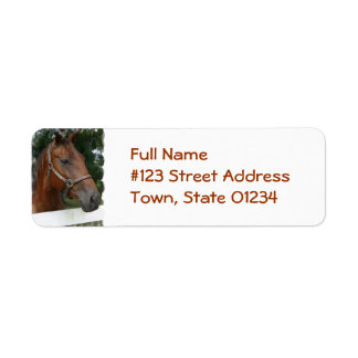 Étiquette Nom de l'adresse de retour du cheval de quart