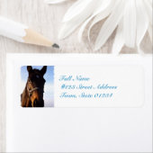 Étiquette non défini (En situation)