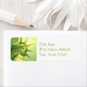 Étiquette non défini (En situation)