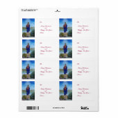 Étiquette NOTRE DAME DE LA LUMIÈRE Vierge de l'Immaculée Con (Feuille entière)