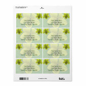 Étiquette Objets de coordination de violette jaune sauvage (Feuille entière)