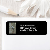 Étiquette Objets en pics Downy (En situation)