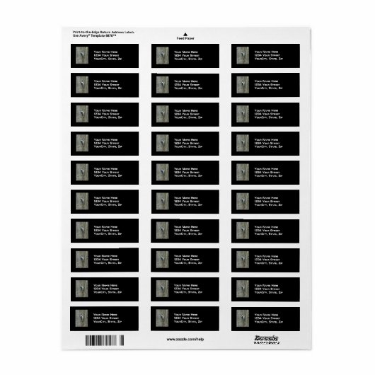 Étiquette Objets en pics Downy (Feuille entière)