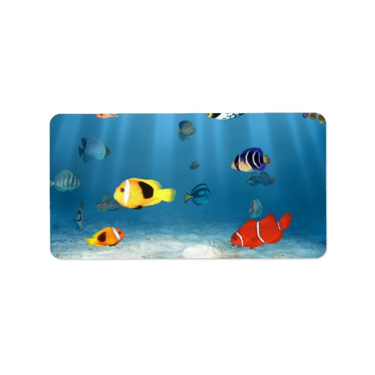 Étiquette Océans du poisson (Devant)
