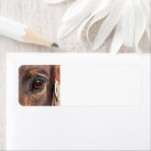 Étiquette Oeil âle (En situation)