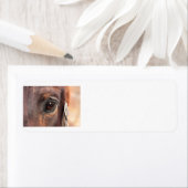 Étiquette Oeil sourd (En situation)