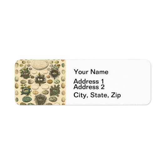 Étiquette OEuf vintage Nid Art Peinture OEufs (Devant)