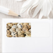 Étiquette Oeufs de caille (En situation)