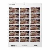 Étiquette Oeufs de caille dans le nid (Feuille entière)