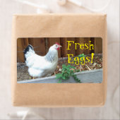 Étiquette Oeufs frais (En situation)