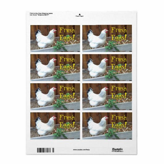 Étiquette Oeufs frais (Feuille entière)