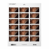 Étiquette Oeufs frais de ferme (Feuille entière)