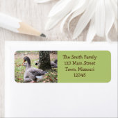 Étiquette Oie (En situation)