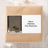 Étiquette Oie dans la neige (En situation)