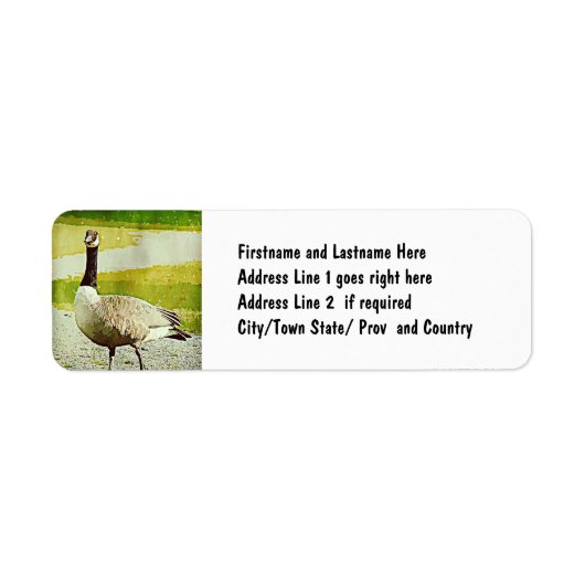 Étiquette Oie du Canada - Effet aquarelle peint (Devant)