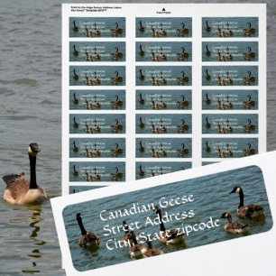 Étiquette Oies canadiennes sur le lac Adresse de retour phot