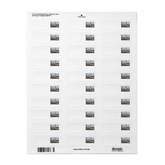 Étiquette Oies des neiges volantes (Feuille entière)