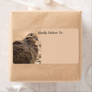 Étiquette Oiseau de colombe en deuil Brown avec tête Cocked