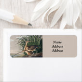 Étiquette Oiseau de Courlis à long bec Audubon (En situation)