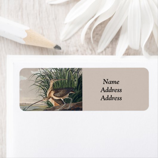 Étiquette Oiseau de Courlis à long bec Audubon (En situation)