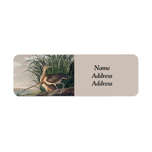 Étiquette Oiseau de Courlis à long bec Audubon (Devant)