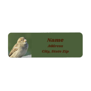 Étiquette Oiseau Oiseau Petite plume Brown Bruant sauvage