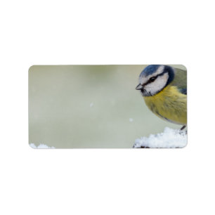 Étiquette Oiseau sauvage renversant de mésange bleue dans l