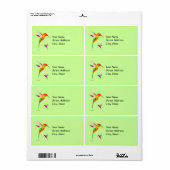 Étiquette Oiseaux colorés de Colibri (Feuille entière)