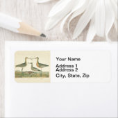 Étiquette Oiseaux de marais Courlis Oiseaux (En situation)