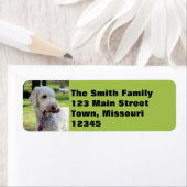 Étiquette Ollie (En situation)