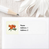 Étiquette Orange Epidendrum Orchid (En situation)