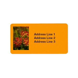 Étiquette Orange Flowers in the Smoky Mountains Label