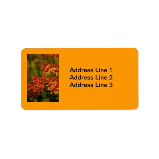 Étiquette Orange Flowers in the Smoky Mountains Label (Devant)