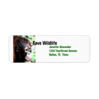 Orangutan sauve la faune