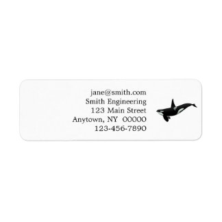 Étiquette Orca whale illustration - choose background color