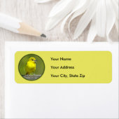 Étiquette Orchard Oriole - Photo originale (En situation)