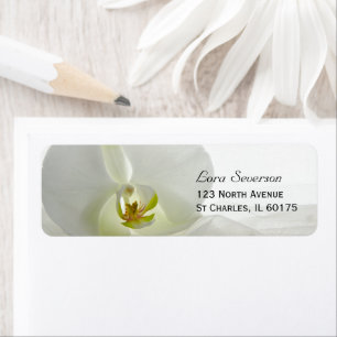 Étiquette Orchid White et le Voile de la nuptiale Adresse du