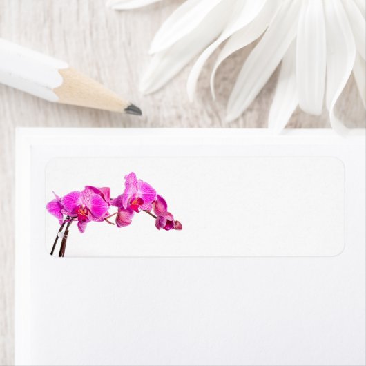 Étiquette Orchidée (En situation)