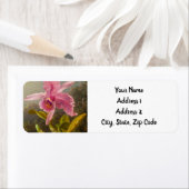 Étiquette Orchidée avec deux colibris Heade (En situation)