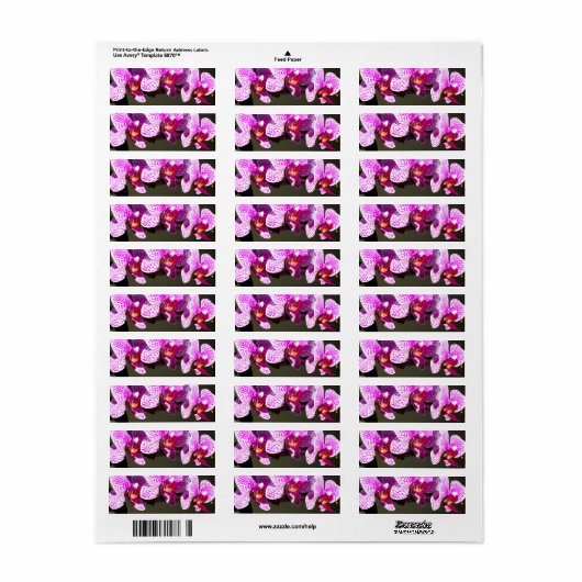 Étiquette Orchidées roses (Feuille entière)