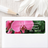Étiquette Orchidées roses (En situation)