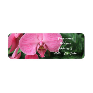 Étiquette Orchidées roses