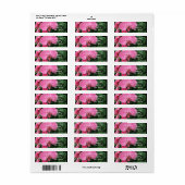 Étiquette Orchidées roses (Feuille entière)