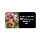 Étiquette Orchidées tropicales (Devant)