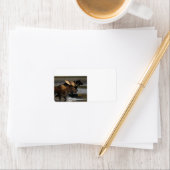 Étiquette orignal se fracturant dans l'eau (En situation)